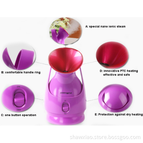 ionic facial steamer